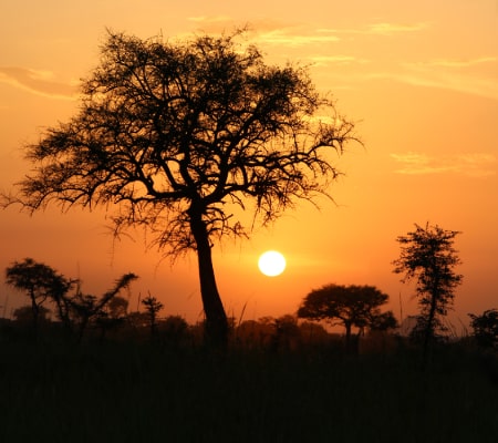 pianupelodges gallery