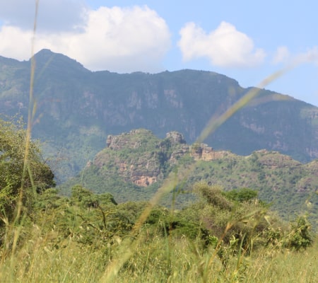 pianupelodges gallery